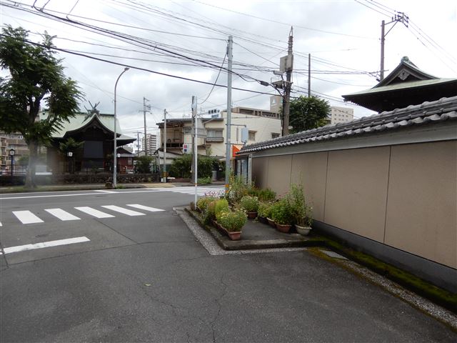 画像の説明 画像の説明