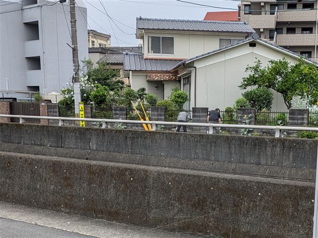 画像の説明