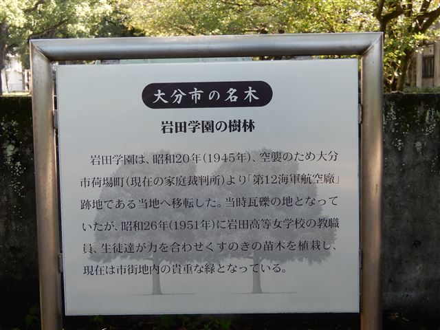 画像の説明