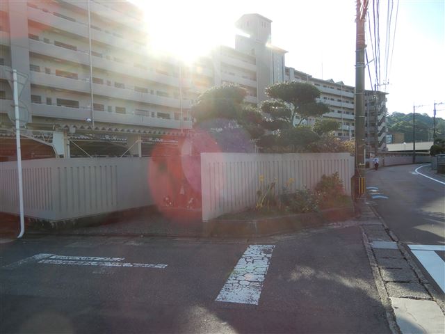 画像の説明
