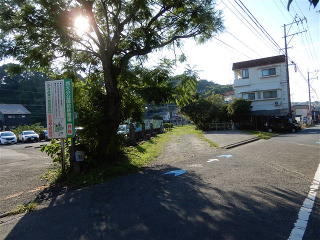 画像の説明