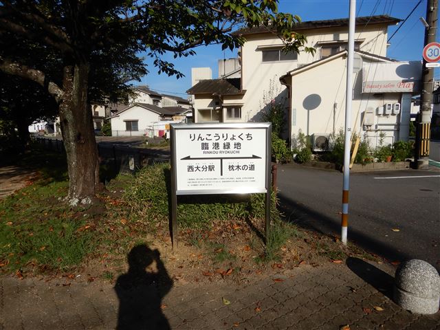 画像の説明