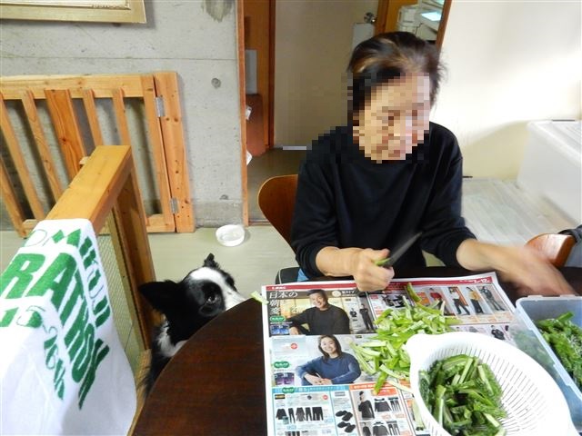 画像の説明