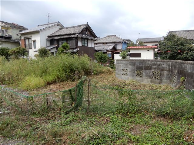 画像の説明