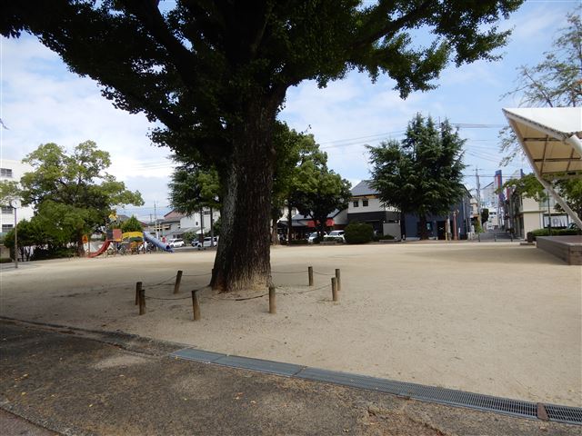 画像の説明