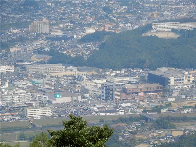画像の説明 画像の説明