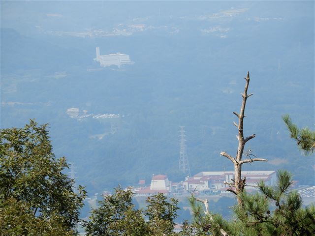 画像の説明 画像の説明