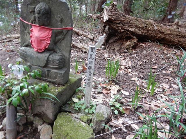 画像の説明 画像の説明