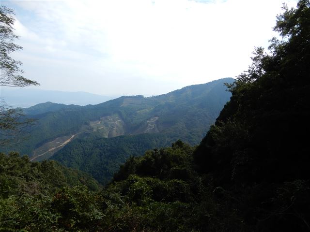 画像の説明 画像の説明