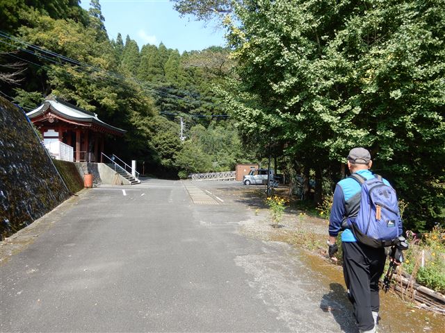 画像の説明 画像の説明