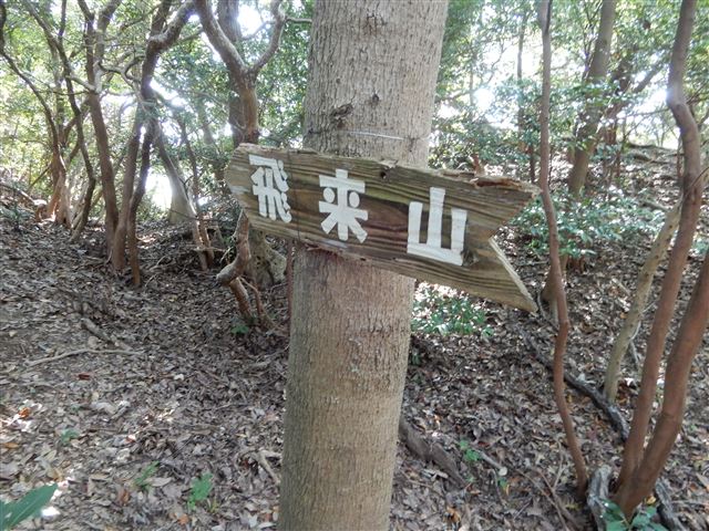 画像の説明 画像の説明